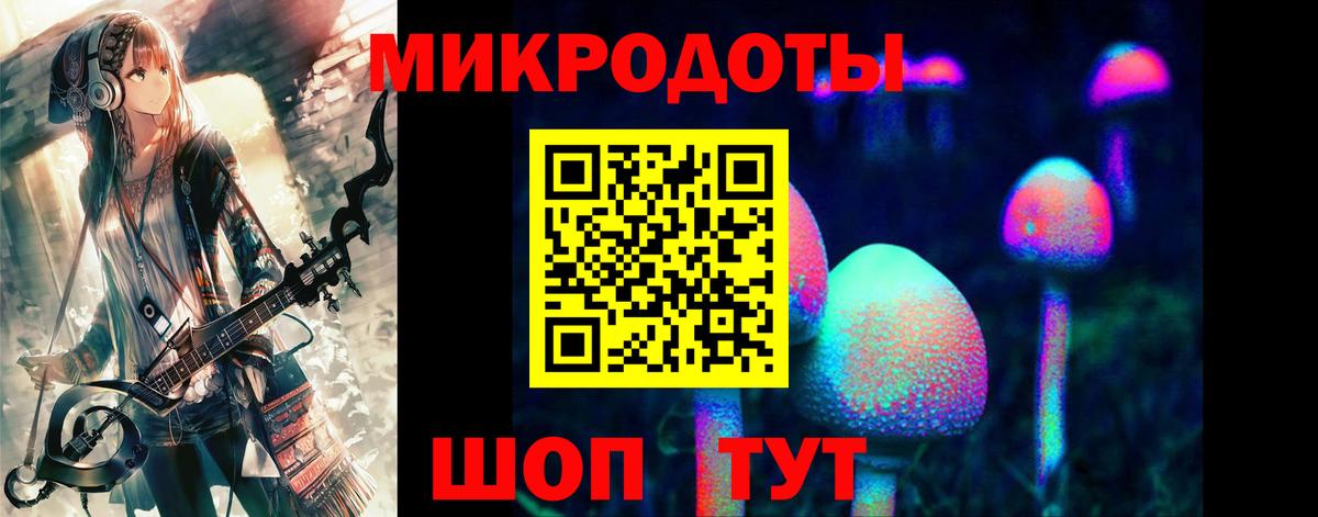 Великий Устюг  Псилоцибиновые грибы Cubensis  Вход с VPN  купить наркотики сайты  Псилоцибиновые грибы Psilocybe 
